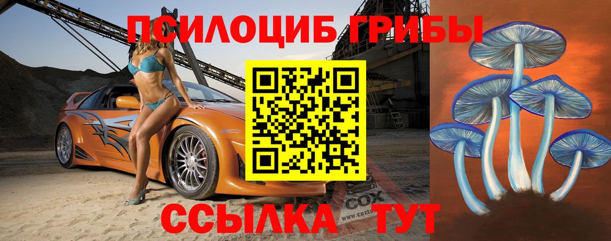 Саратов  купить  сайты  Вход с VPN  Галлюциногенные грибы Magic Shrooms 